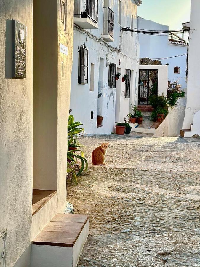El corralón Casa de hóspedes Frigiliana Exterior foto